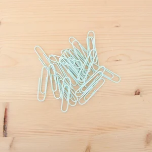 Kit 25 Clips Grandes 50mm Menta