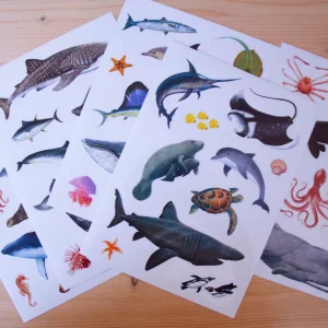 Stickers A5 Removíveis Mar (+ de 50)